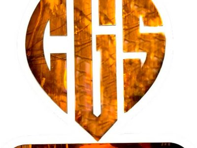 Chhotalal Girdharlal and sons